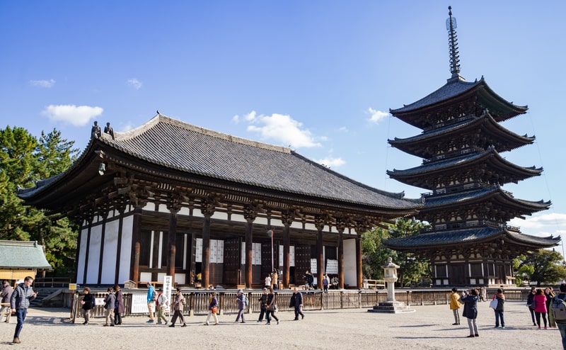 At Kofukuji Temple, Japan Youth Travel admires the ancient Buddhist architecture that stands as a testament to Japan’s heritage.